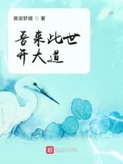 吾来此世开大道 类似