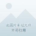 九龙真诀