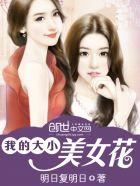 我的大小美女花全文免费阅读全文