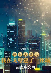 开发大西北我在戈壁建了一座城 八月黄