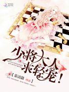 少将大人轻点宠全文免费阅读