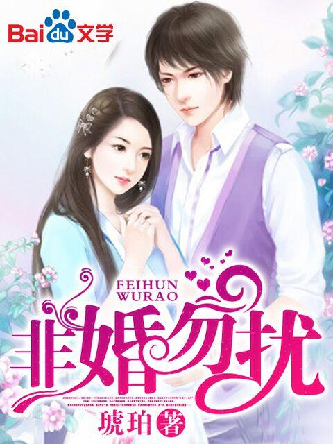 非婚勿扰电视剧全集