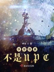 我真不是npc无弹窗