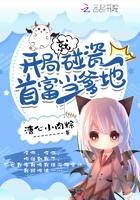 书名是开局就碰瓷